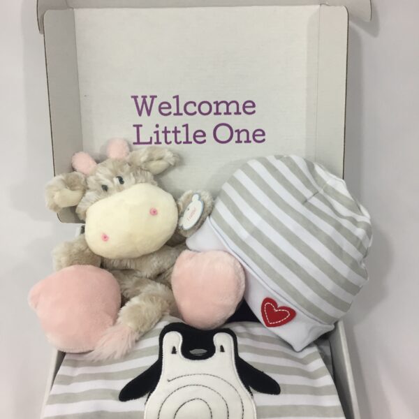 baby newborn gift box with giraffe rattle