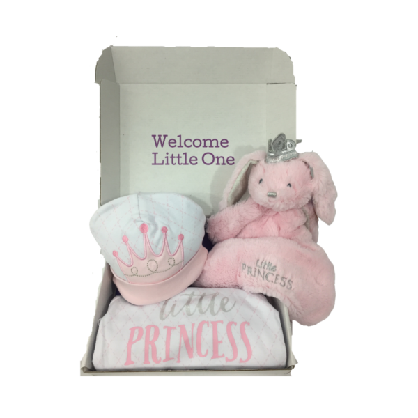 princess newborn gift box